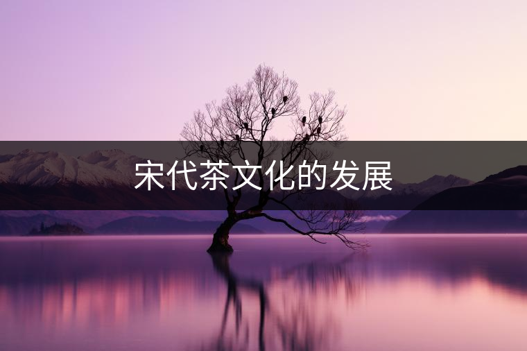 宋代茶文化的發展