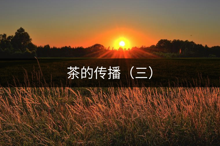 茶的傳播（三）