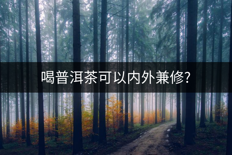 喝普洱茶可以內外兼修? 喝普洱茶可以內外兼修?