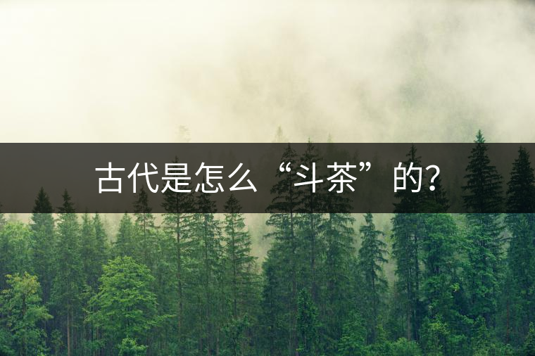 古代是怎么“斗茶”的？