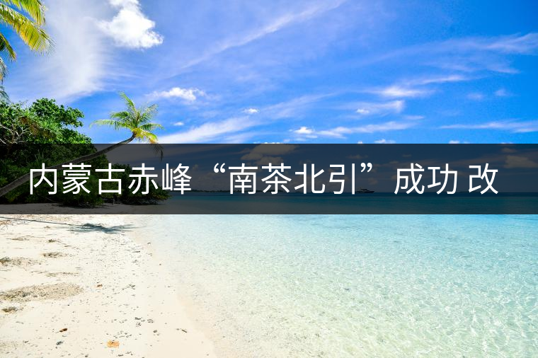 內蒙古赤峰“南茶北引”成功 改寫本地無茶歷史