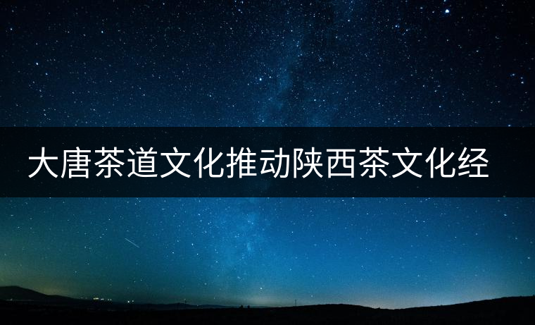 大唐茶道文化推動陜西茶文化經濟的發展 大唐茶道文化推動陜西茶文化經濟的發展