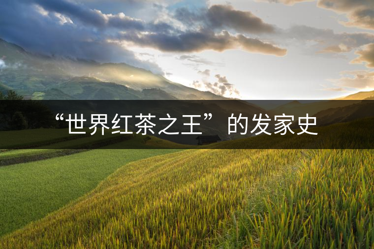 “世界紅茶之王”的發家史 “世界紅茶之王”的發家史