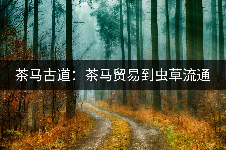 茶馬古道:茶馬貿易到蟲草流通 茶馬古道:茶馬貿易到蟲草流通