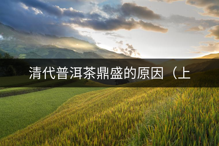 清代普洱茶鼎盛的原因(上 清代普洱茶鼎盛的原因(上