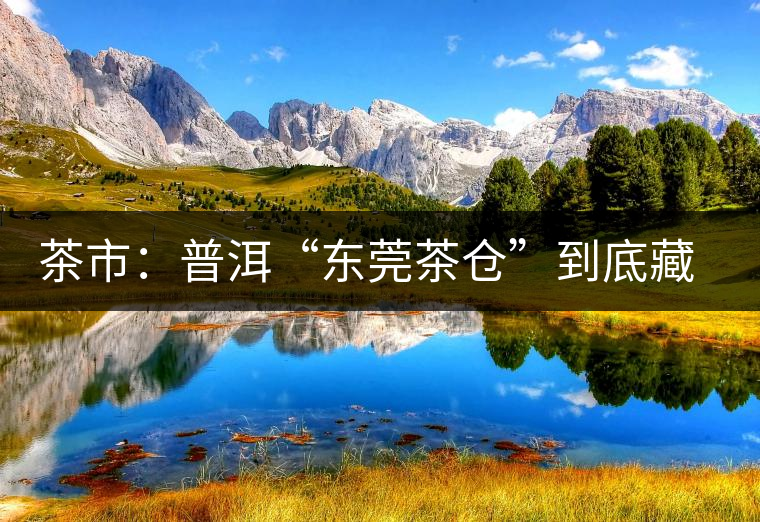 茶市:普洱“東莞茶倉”到底藏給誰喝? 茶市:普洱“東莞茶倉”到底藏給誰喝?