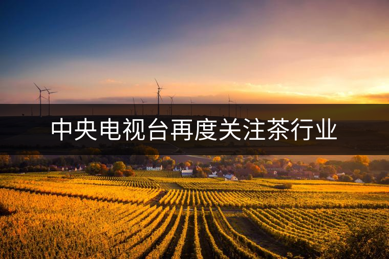 中央電視臺再度關(guān)注茶行業(yè)