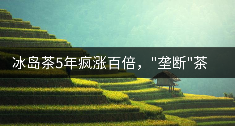 冰島茶5年瘋漲百倍，