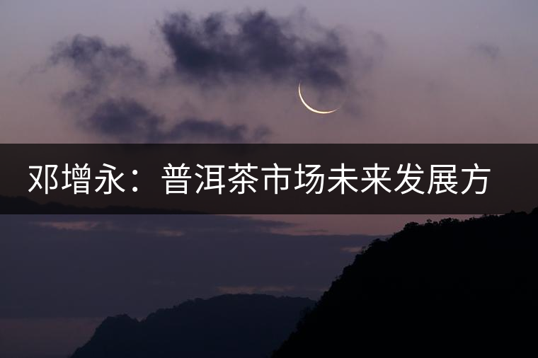 鄧增永:普洱茶市場未來發展方向展望 鄧增永:普洱茶市場未來發展方向展望