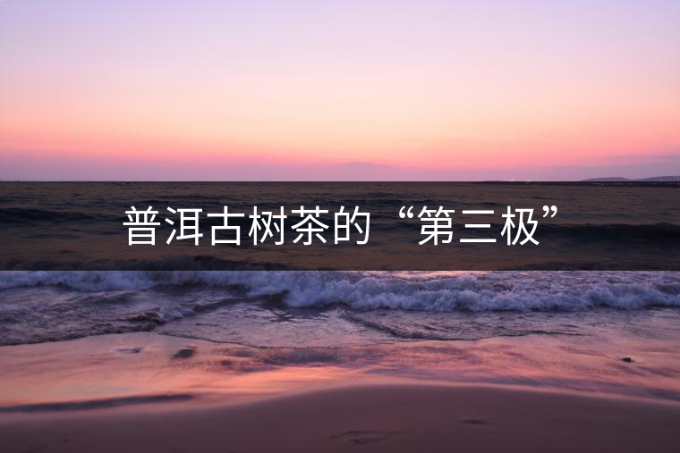 普洱古樹茶的“第三極” 普洱古樹茶的“第三極”