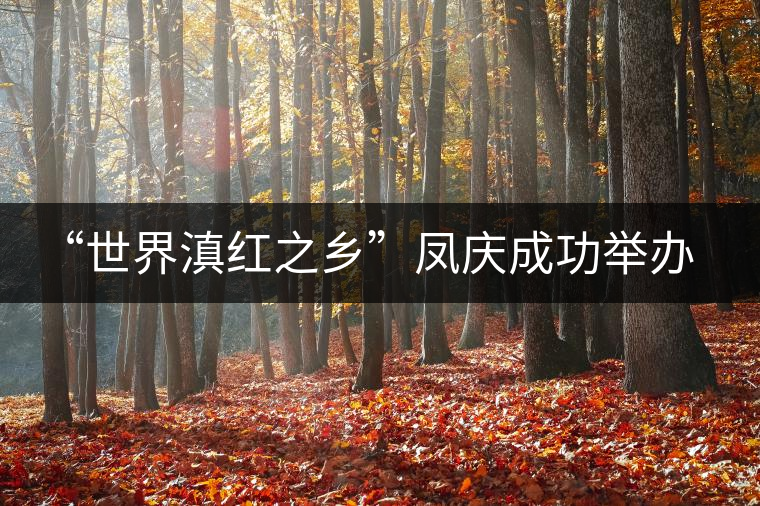 “世界滇紅之鄉”鳳慶成功舉辦茶文化藝術節 “世界滇紅之鄉”鳳慶成功舉辦茶文化藝術節