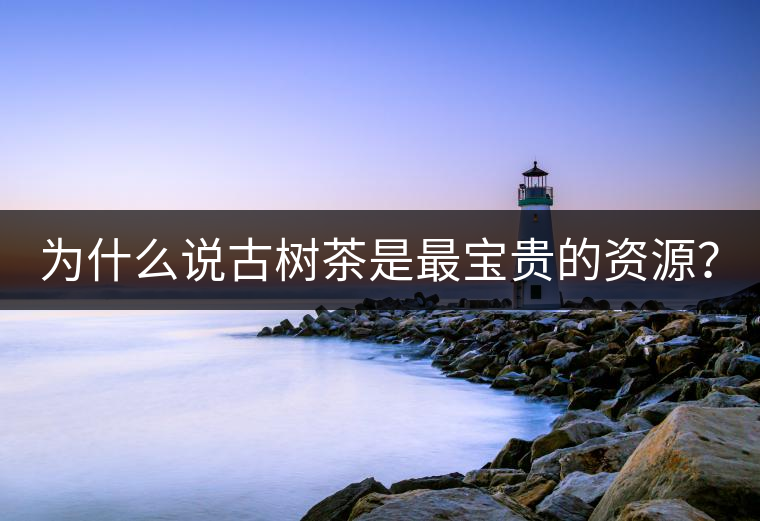 為什么說古樹茶是最寶貴的資源? 為什么說古樹茶是最寶貴的資源?