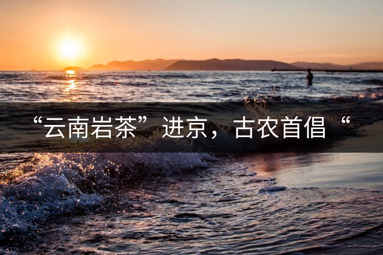 “云南巖茶”進京，古農首倡“名茶+名企”戰略