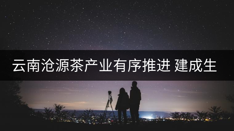 云南滄源茶產業有序推進 建成生態茶園近15萬畝 云南滄源茶產業有序推進 建成生態茶園近15萬畝