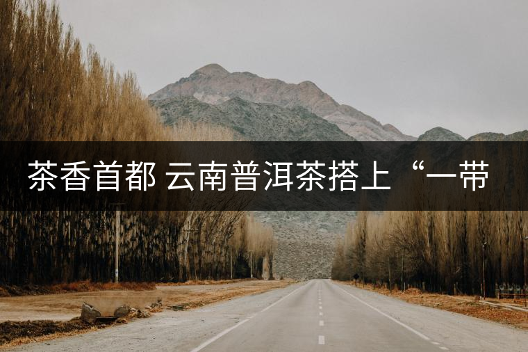 茶香首都 云南普洱茶搭上“一帶一路”