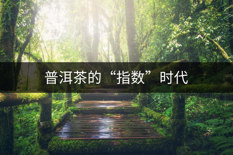 普洱茶的“指數”時代