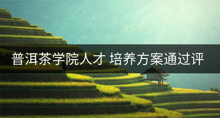 普洱茶學院人才 培養方案通過評審