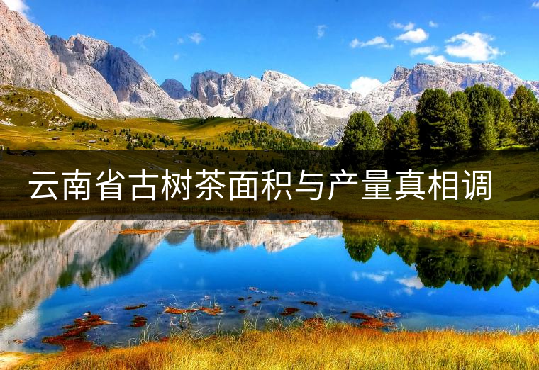 云南省古樹茶面積與產量真相調查 云南省古樹茶面積與產量真相調查