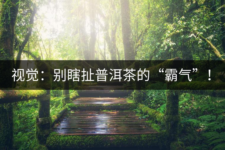 視覺(jué)：別瞎扯普洱茶的“霸氣”！偽大師！