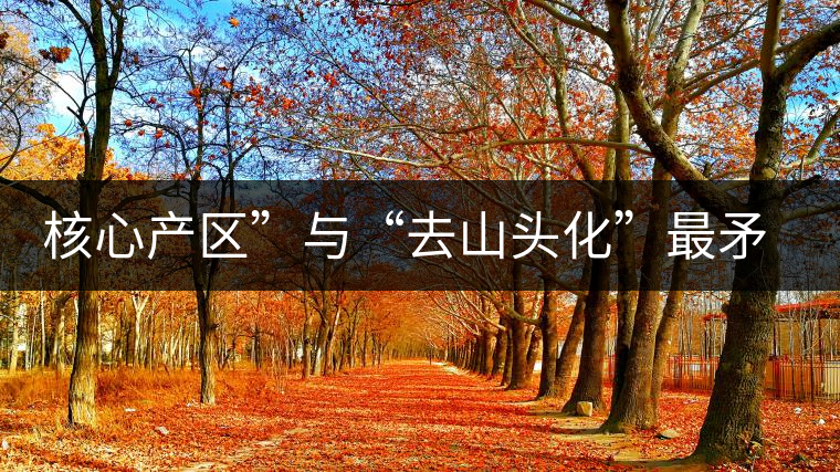 核心產區”與“去山頭化”最矛盾的市場抉擇