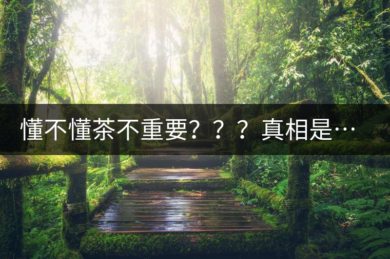 懂不懂茶不重要???真相是…… 懂不懂茶不重要???真相是……