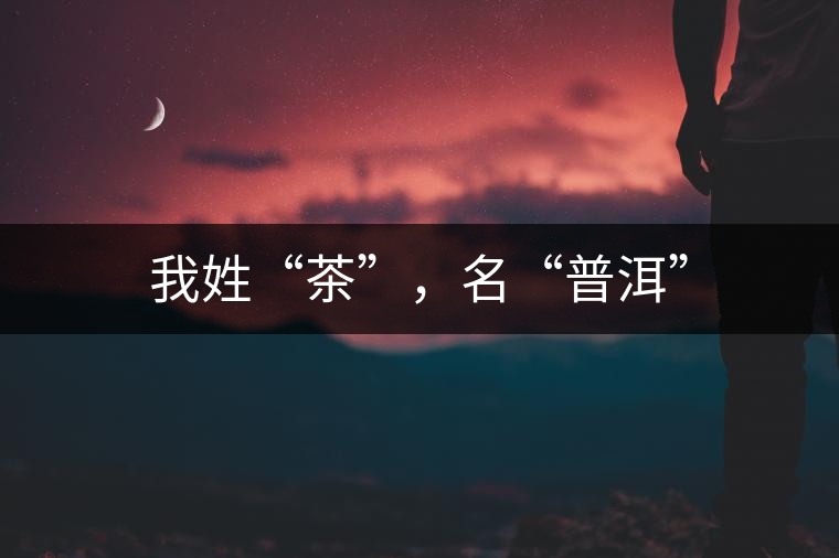 我姓“茶”，名“普洱”