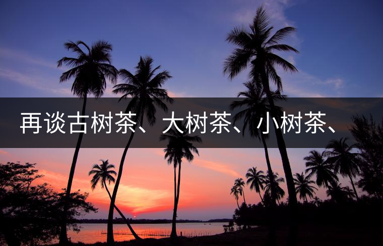 再談古樹茶、大樹茶、小樹茶、臺樹茶…