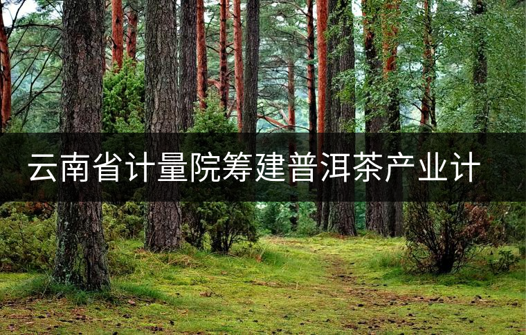 云南省計量院籌建普洱茶產業計量測試中心 云南省計量院籌建普洱茶產業計量測試中心
