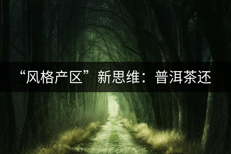 “風格產區”新思維：普洱茶還有無必要再區分山頭？