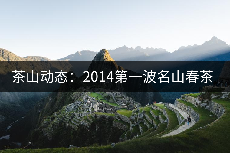 茶山動態：2014第一波名山春茶價格