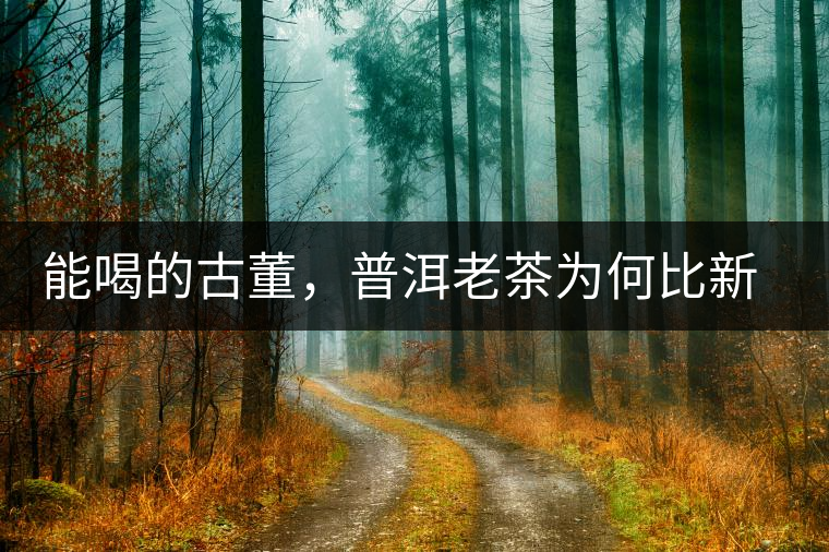能喝的古董,普洱老茶為何比新茶更值錢? 能喝的古董,普洱老茶為何比新茶更值錢?