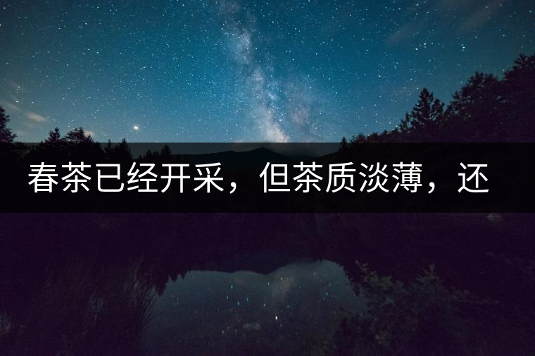 春茶已經開采，但茶質淡薄，還需一兩周