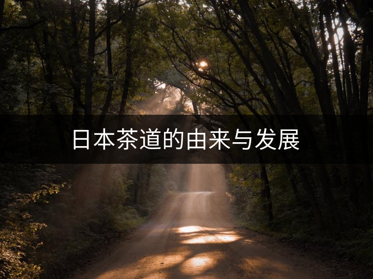 日本茶道的由來與發展