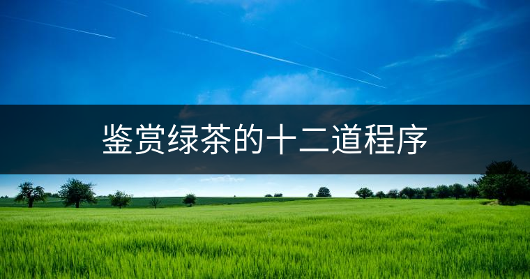 鑒賞綠茶的十二道程序