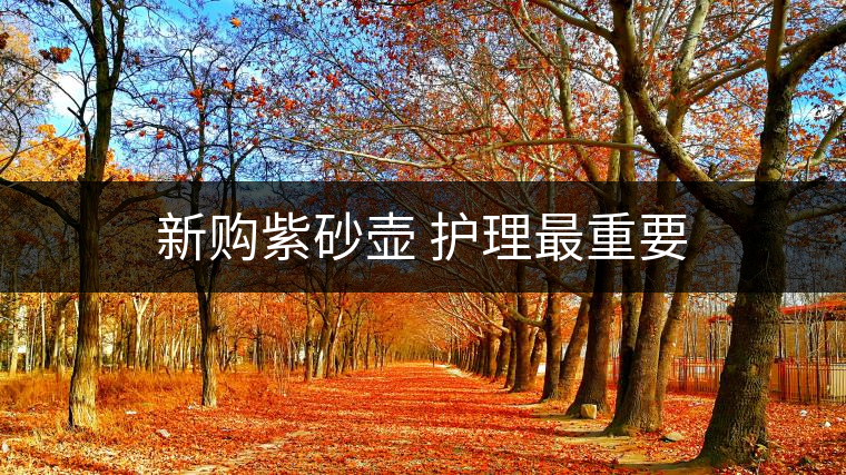 新購紫砂壺 護理最重要 新購紫砂壺 護理最重要