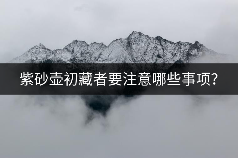 紫砂壺初藏者要注意哪些事項(xiàng)？