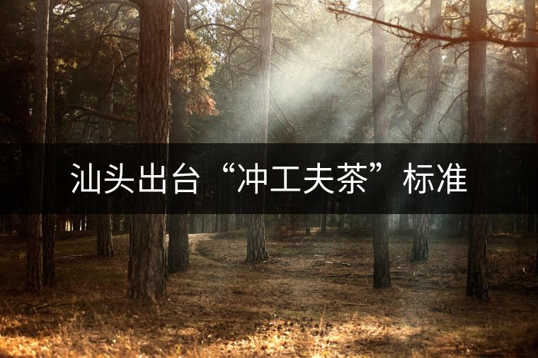 汕頭出臺“沖工夫茶”標準 汕頭出臺“沖工夫茶”標準