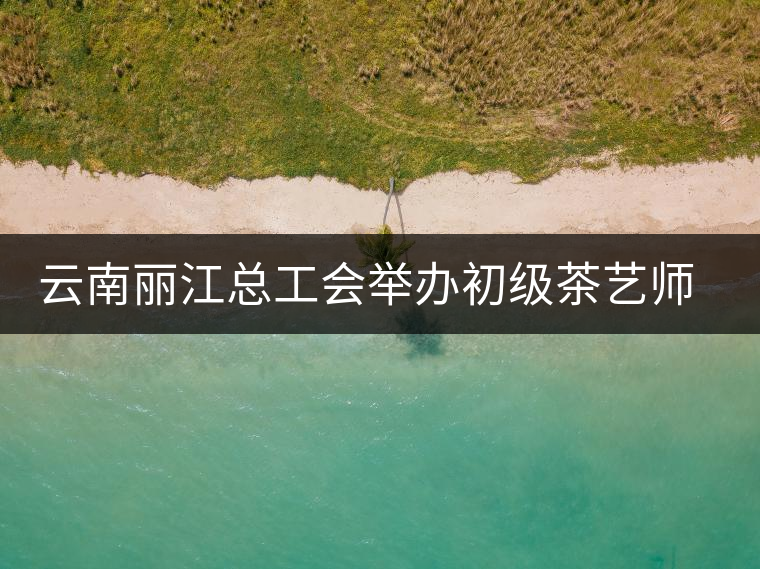 云南麗江總工會舉辦初級茶藝師培訓 云南麗江總工會舉辦初級茶藝師培訓