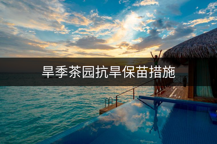 旱季茶園抗旱保苗措施