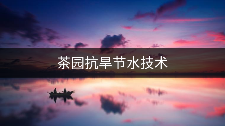 茶園抗旱節水技術 茶園抗旱節水技術