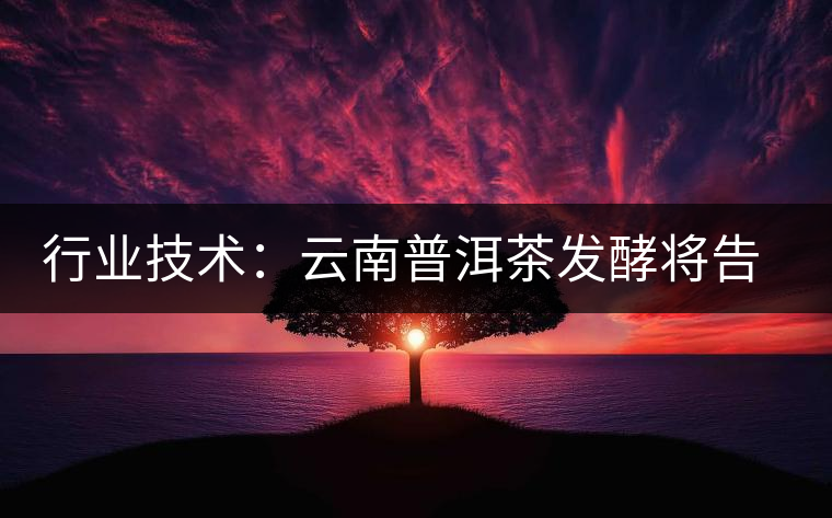 行業技術：云南普洱茶發酵將告別手工翻堆