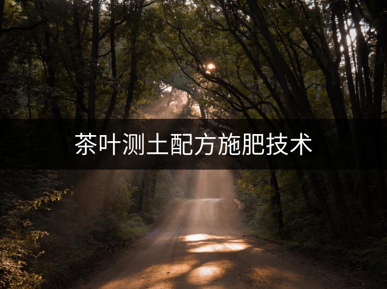 茶葉測土配方施肥技術 茶葉測土配方施肥技術