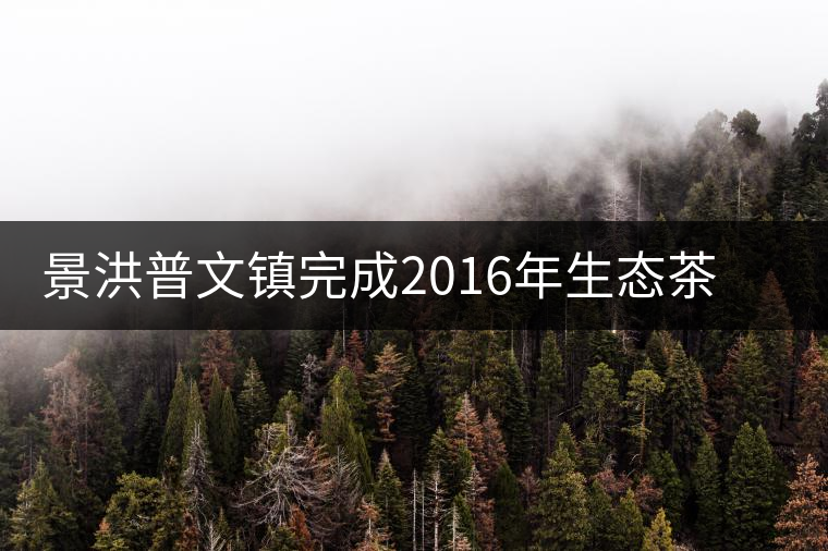 景洪普文鎮(zhèn)完成2016年生態(tài)茶園建設(shè)種苗發(fā)放 景洪普文鎮(zhèn)完成2016年生態(tài)茶園建設(shè)種苗發(fā)放
