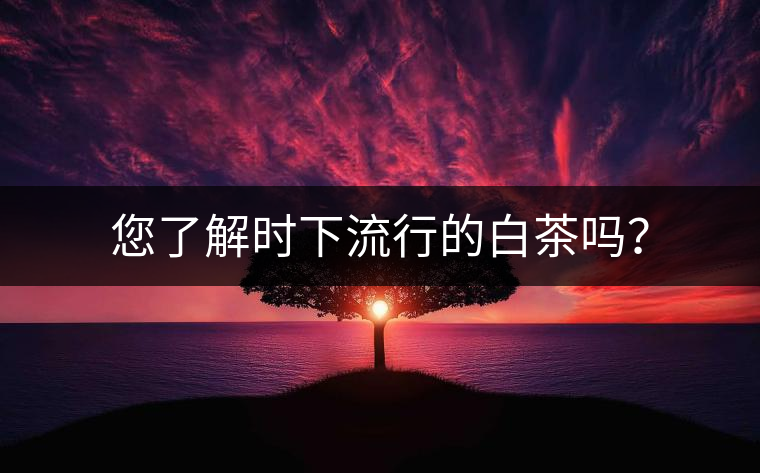 您了解時(shí)下流行的白茶嗎? 您了解時(shí)下流行的白茶嗎?