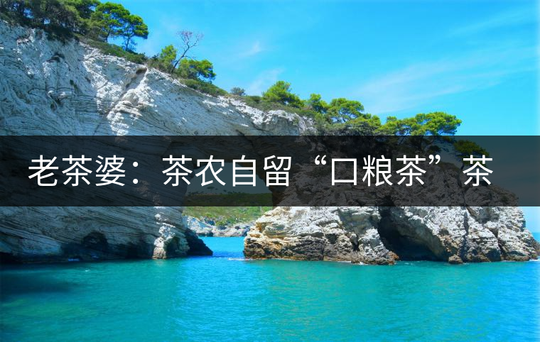 老茶婆:茶農自留“口糧茶”茶市中的老茶新寵 老茶婆:茶農自留“口糧茶”茶市中的老茶新寵