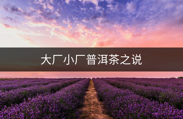 大廠小廠普洱茶之說(shuō) 大廠小廠普洱茶之說(shuō)