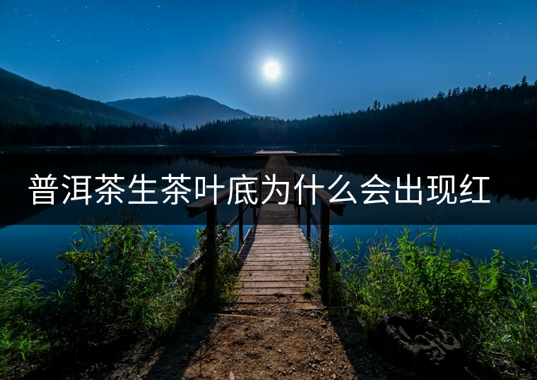 普洱茶生茶葉底為什么會出現紅梗紅葉？