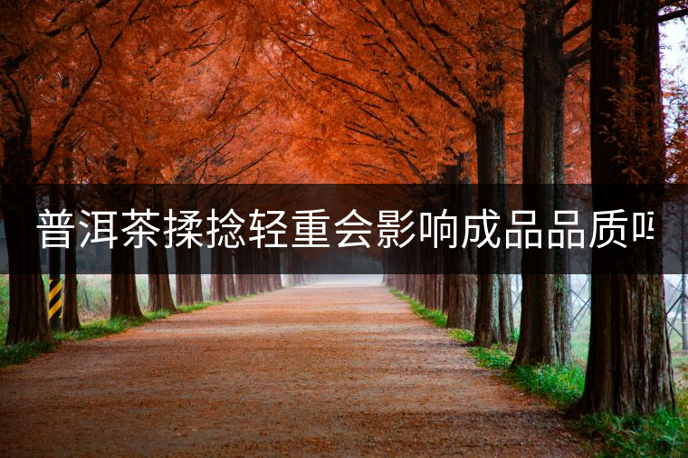 普洱茶揉捻輕重會影響成品品質嗎? 普洱茶揉捻輕重會影響成品品質嗎?