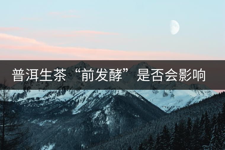 普洱生茶“前發(fā)酵”是否會(huì)影響后期的轉(zhuǎn)化？