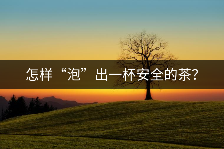 怎樣“泡”出一杯安全的茶？